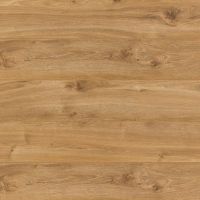38458 ��� �������