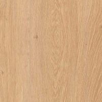041 ��� ��������� ��������
