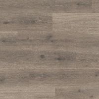 L1301-01832 Дуб Фламандский