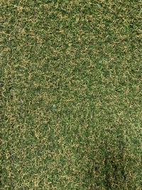 ������������� ����� Grass Mix 30 ������� ����� 2 - ������ � �������