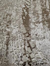 8539 beige ������ ������� - ������ � �������