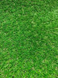 ������������� ����� EverGreen ������� ����� 1 - ������ � �������