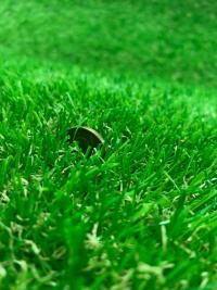 ������������� ����� EverGreen ������� ����� 4 - ������ � �������