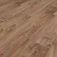 8169 Дуб Польский